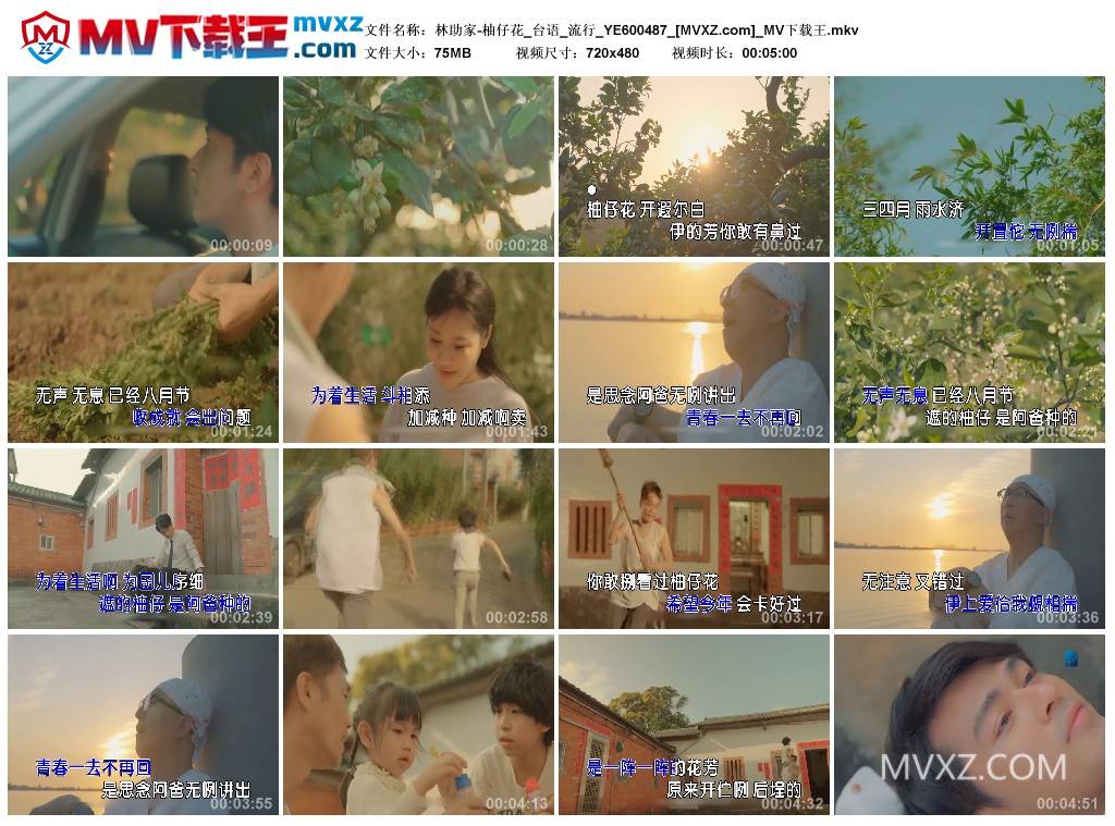 林助家-柚仔花_台语_流行_YE600487